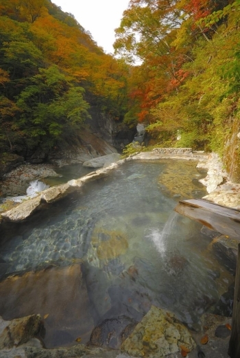 田中屋