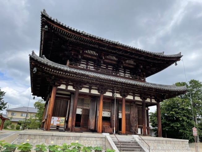 重要文化財、1544年室町時代復古建築「喜光寺さんは只今、蓮の花が咲き誇っています！」