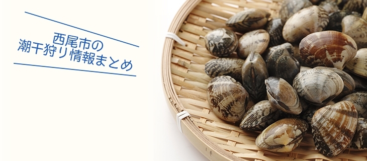 アサリを採って美味しくいただきましょう!