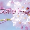 鴻巣市お花見スポット