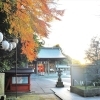 ■紅葉スポット■ 横浜市金沢区【富岡八幡宮】