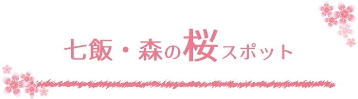 2023年　七飯・森　桜・花見スポット