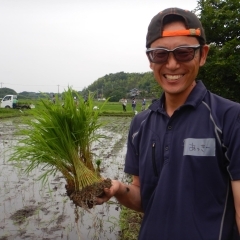 編集部スタッフの「ベジとるとる田植え体験」（１）田植え編（全3回）