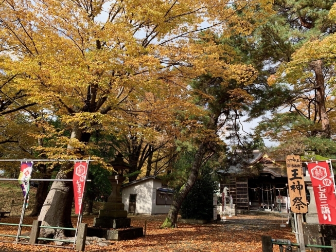 「今しか見れない！金峯神社の秋を感じる「花手水（はなちょうず）」。」