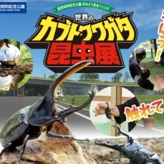 夏の思い出に!世界のカブト・クワガタ昆虫展が昭和記念公園で開催