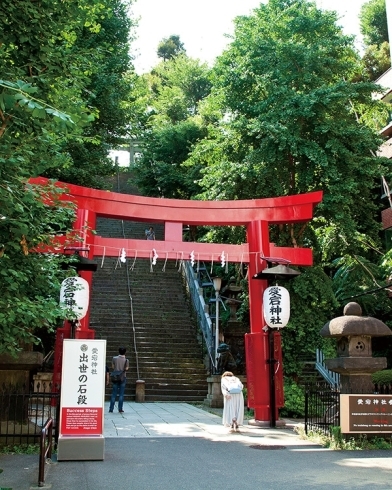 「出世の石段」で有名な愛宕神社は港区にある。「芝の愛宕に、胡蝶蘭」