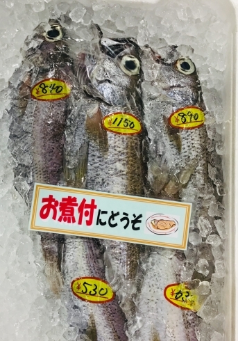 「魚魚市場鮮魚コーナーおすすめは「クロムツ・チコ鯛」です♪」
