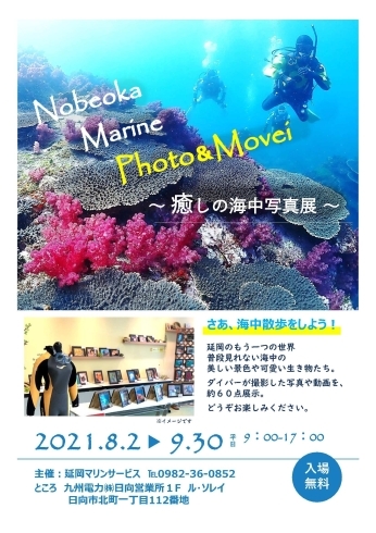 「【日向営業所】「癒しの海中写真展～延岡のもう一つの世界～」」