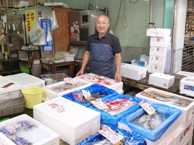 「有限会社 魚辰水産」生鮮、鮮魚、貝類、水産冷凍品の販売