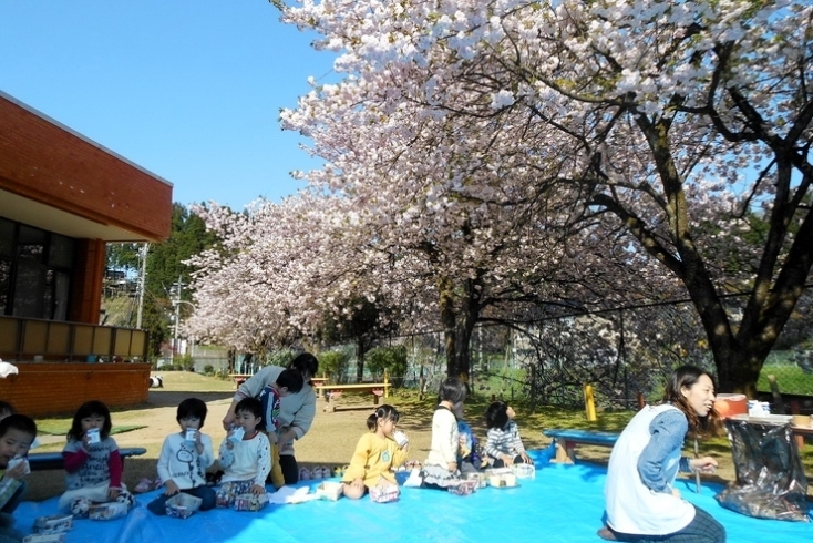 「富山市立山田保育所」感性豊かでたくましい子どもに育つよう保育しています。