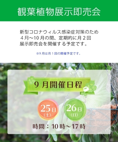「【9月】観葉植物展示即売会のお知らせ」