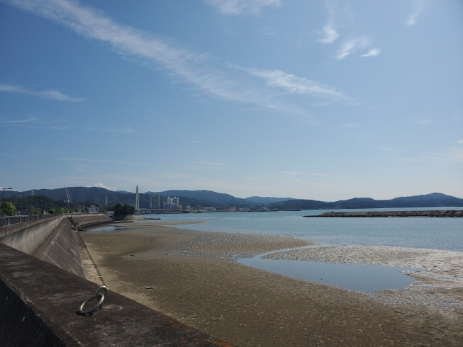 「和歌山市在住の私が思う和歌山市の魅力」