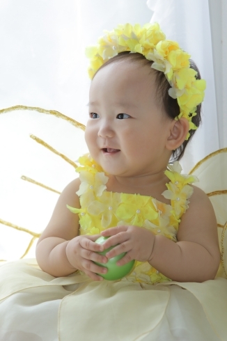 妖精さんの衣装です「赤ちゃんの100日記念⭐︎1歳の誕生日の記念写真⭐︎」