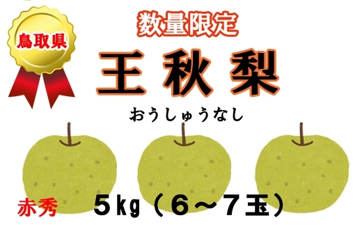 3.5キロ入りと、5キロ入りがあります「鳥取県産　王秋梨の受付を開始しました(^^♪」