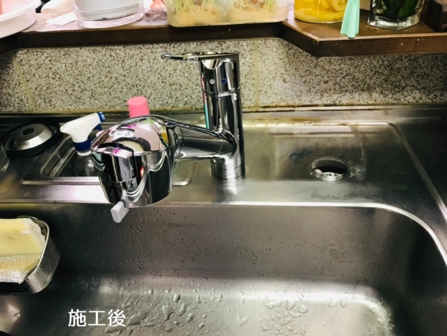 ﾀｶｷﾞ JL307MN-9NL2「キッチン水栓交換のお話。タカギ浄水器」