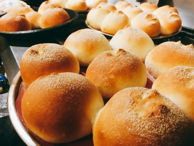 道産小麦粉の自家製パン　「１０月３日（日)ランチ営業再開します」