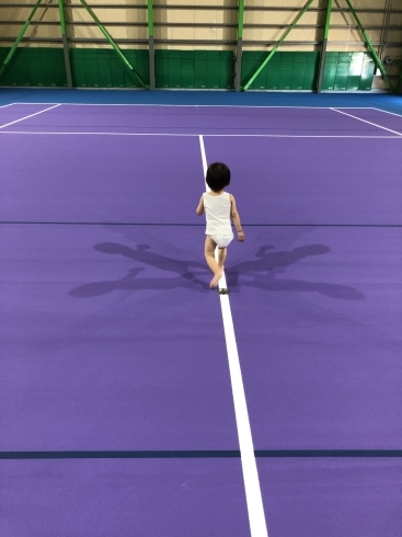 子供にも優しいコートです「本格テニスコート【グリーンセット】でテニス！」