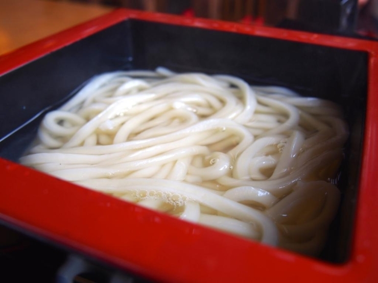 釜揚げうどん　650円