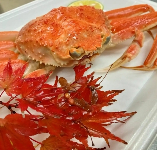 「【編集部ニュース】伏見区でも美味しい蟹が食べられます☆」