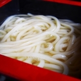 【いっせい】打ちたてのツルツルうどん