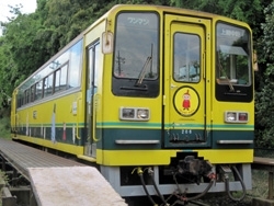 菜の花のように鮮やかな黄色の車体。1両だけのかわいい電車です。