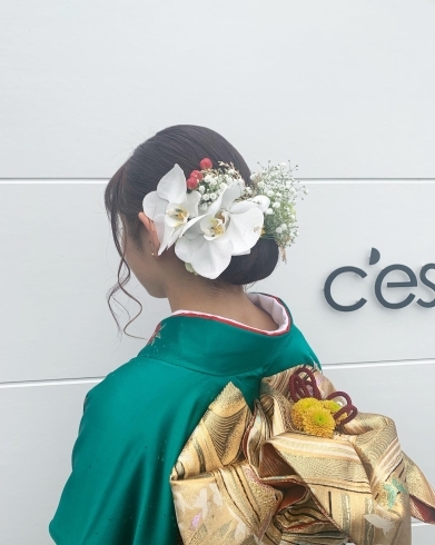 髪飾りと帯飾りは生花です♡「伊賀市美容室セラヴィ成人式前撮りアレンジセット着付け承ります」