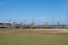 2024年10月17日撮影|河川敷公園かきくらべ