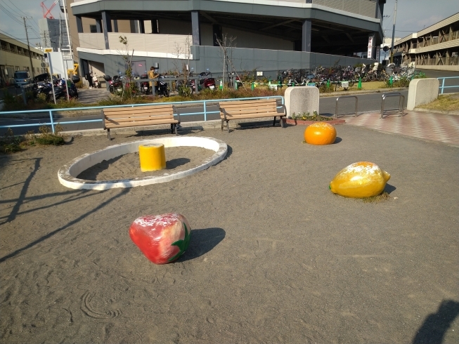 フルーツバスケット「金沢区釜利谷東にある大川公園」