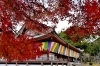 弘法大師 諡号下賜1100年 慶讃法要 「大師は弘法に奪われ、太閤