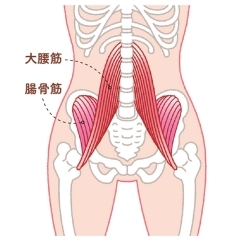 腰痛・好評　大腰筋マッサージ