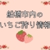 船橋市で楽しむいちご狩り&直売所特集2026