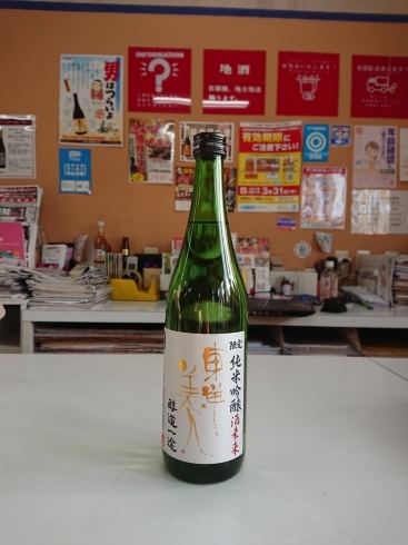 東洋美人 純米吟醸「おいしい日本酒が入荷しました！」