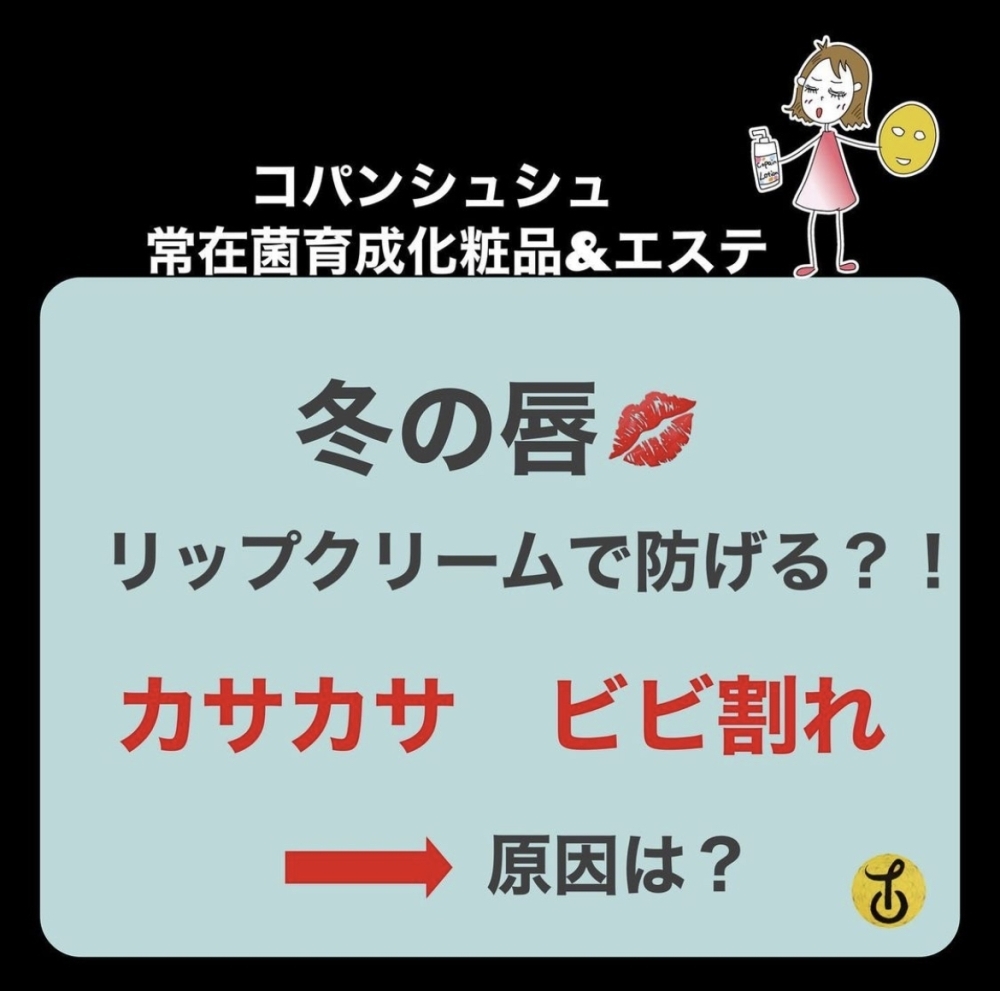 新作入荷!! コパンシュシュ ポウセラム - スキンケア/基礎化粧品