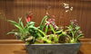 image.php?id=2120026&p=shopn&s