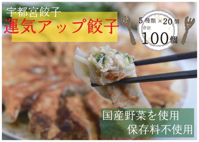 焼き餃子のイメージです。「５種類味比べ（餃子１００個で２７００円）」