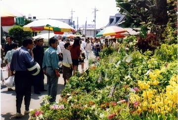 画像引用出典：富士の国やまなし観光ネット（http://www.yamanashi-kankou.jp/index.html）