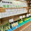 とうもろこし　長野県・開田高原産　20本 azusaya_sg00009