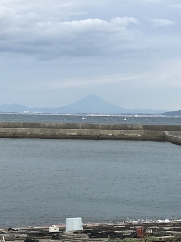 東京湾越しの富士「富士山」