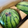 すいか🍉😳 10月に「すいか」が入荷しましたよー🍉 新潟県産 「すいか