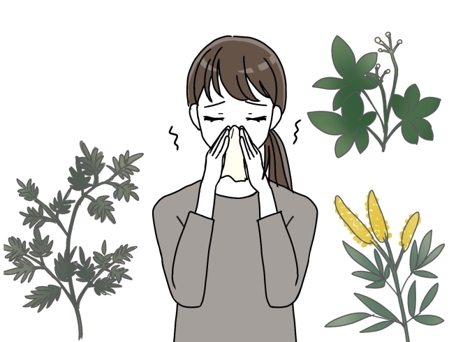 「秋の花粉症！風邪と勘違いすることも？」