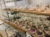 ZX crystal gemstones wholesale store