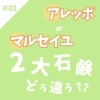 アレッポとマルセイユ石鹸の違いについて！ | エシカルショップ ecorel