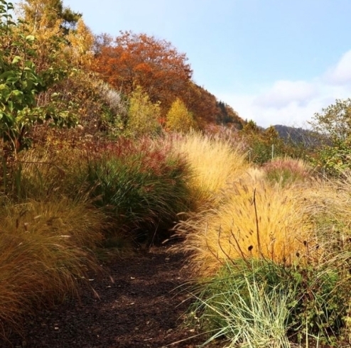 「今年（2023年）の紅葉　【札幌市南区にある子どもも大人も楽しめる体験型観光農園・定山渓ファーム】」