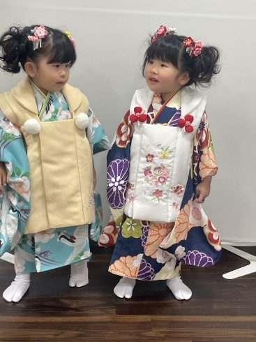 かわいい双子の姉妹ちゃんです。「TUZUMI問屋町　七五三　結婚式参列　振袖成人式　卒業式の袴　ご予約受付中」