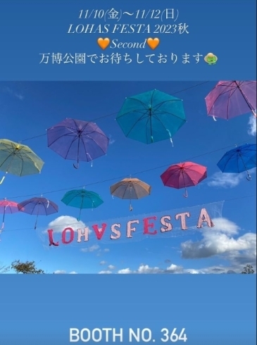 「LOHAS FESTA 2023秋 second 万博公園に出店いたします🧡　【11月10日～11月12日】」