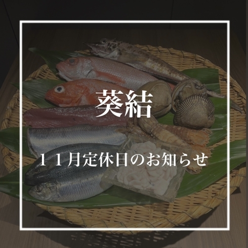 １１月定休日のお知らせ「１１月定休日のお知らせ📢」