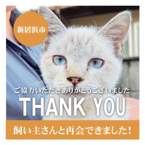 「【無事再会！】新居浜市庄内町で保護されていた猫ちゃん。飼い主さんと再会できました！」