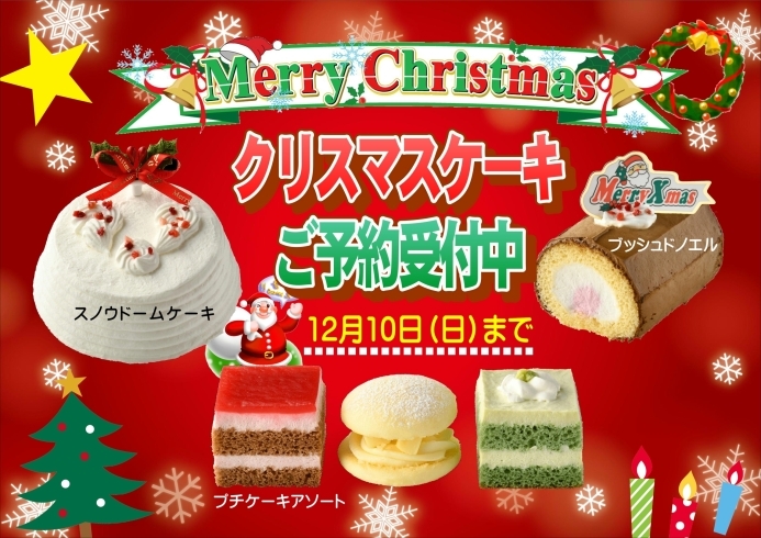 クリスマスケーキ「わんこ用クリスマスケーキ予約受付中!」
