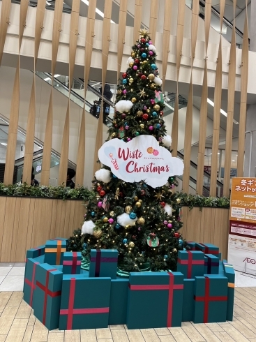 「「イオンスタイル野田阪神&ウイステ」のクリスマスツリーを見てきました🎄🎁」