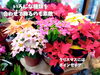 image.php?id=2147531047&p=